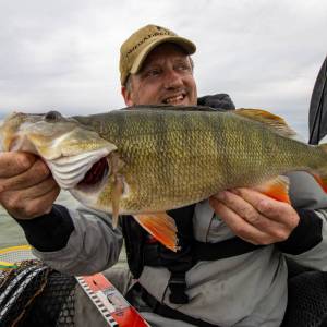 IMG_8238-Enhanced-NR-2_original