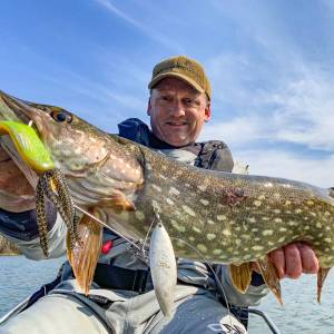 Laichgeschaftspike_original