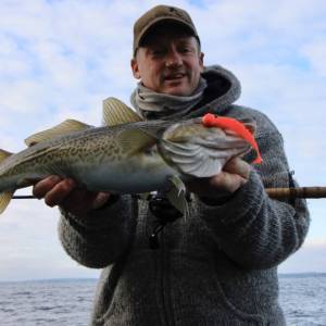 Mobyshad in Orange gleich Dorsch:-)