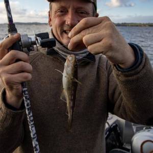 Dorsch112020_12_original