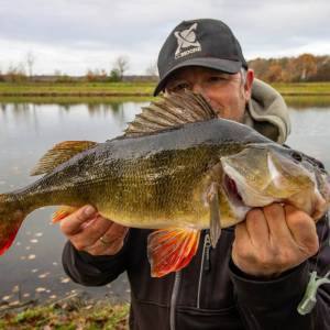 Auch am schwierigen glasklaren Kanal sind mit der Tube Traumfänge möglich. Barschangeln ist toll!