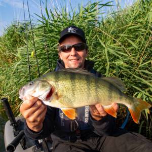 elreinholdo_2_original