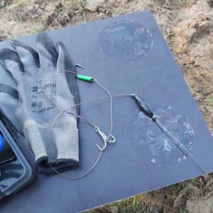 224f98b8-15d3-4885-bc66-75d4f72b7fec_2_original