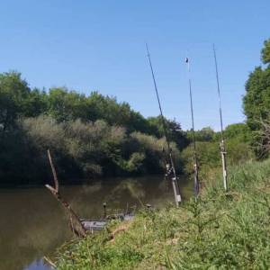 be0e8749-0be4-4ca7-9e10-f942a9ecb58c_original