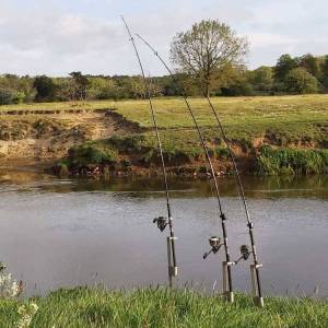 d25a3bde-ba1f-4463-b9bb-67e6605b24ad_original