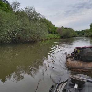 d658dd1f-358b-4ebf-802d-862f5f145b79_original