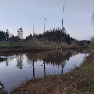 f9ab0fbe-758a-4479-a839-0d73df0b72fb_original