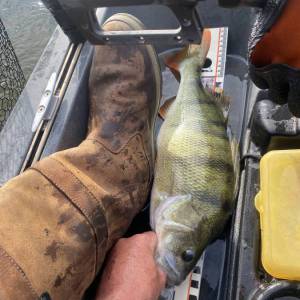 Da denkt man wehmütig an bessere Zeiten...