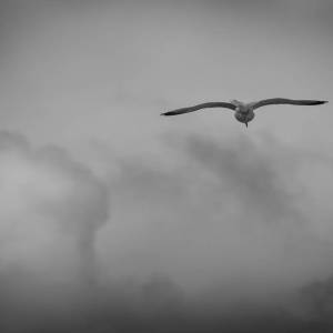 EU8A7786_original