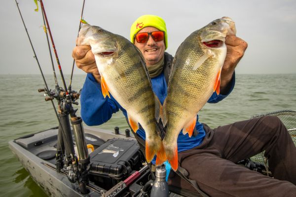 5 TIPPS FÜR DICKE BARSCHE