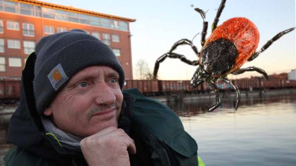 Ein Zeckenbiss, was nun?