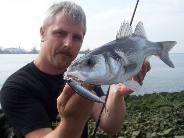 IM GESPRÄCH mit  Mr Wolfsbarsch, Rob Staigis