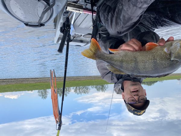 Jeder hat seinen Lieblingsbuddy, was qualifiziert ihn? 