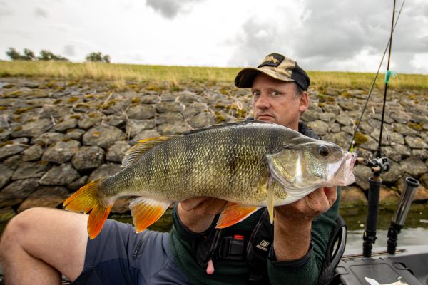 Was kannst Du machen, wenn die Barsche nuckelig sind?