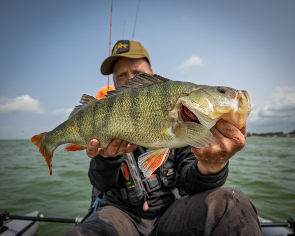 Was gut ist kommt wieder zurück